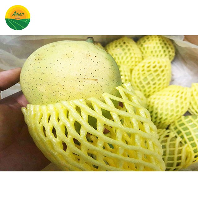 Xoài Cát Chu Ameii chuẩn xuất khẩu (3)