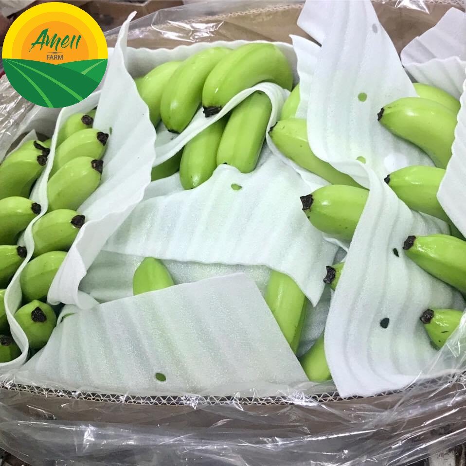 Chuối tiêu Cavendish Ameii chuẩn xuất khẩu (1)