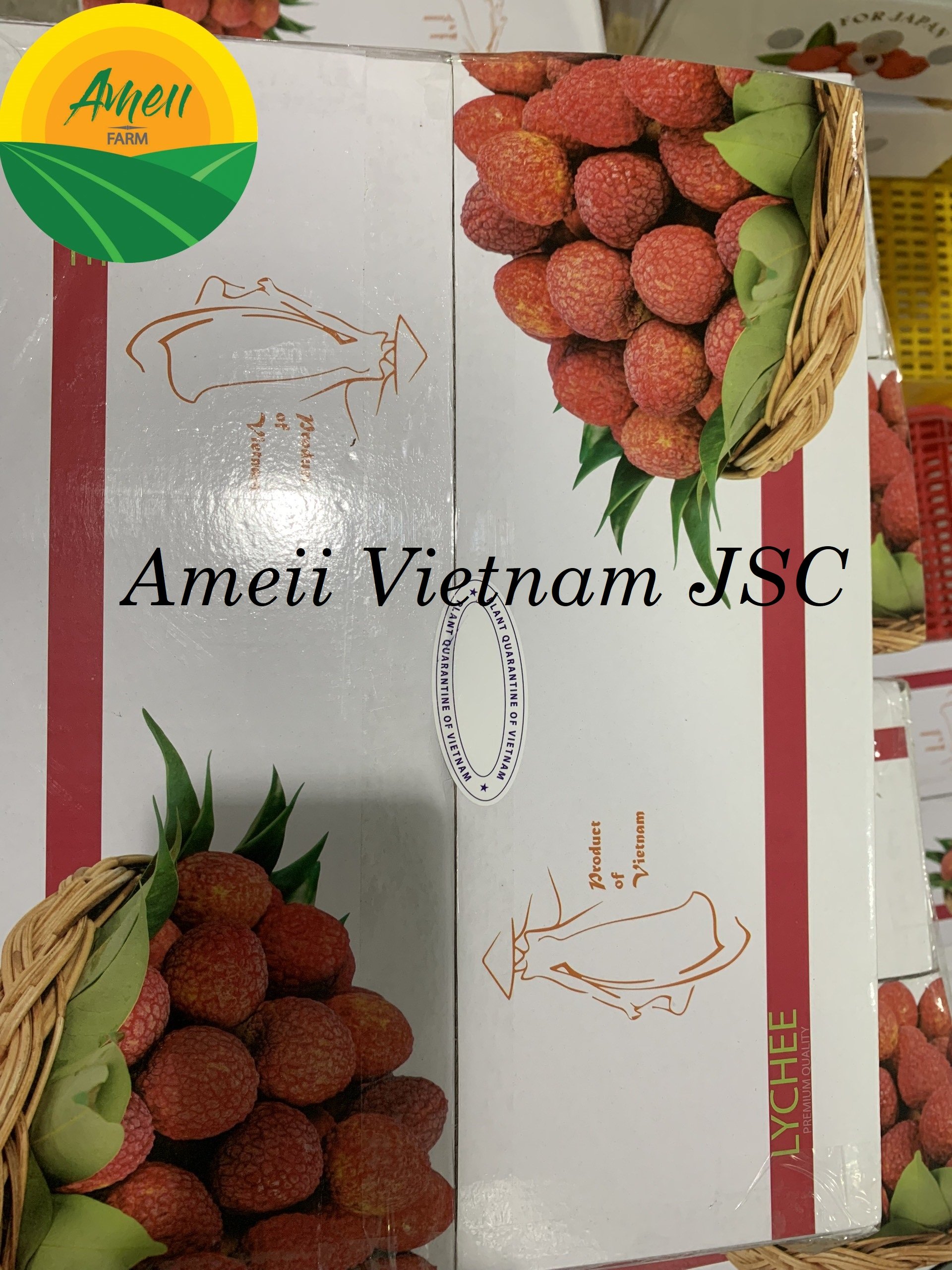 Vải thiều tươi Ameii đóng khay xuất khẩu (5)