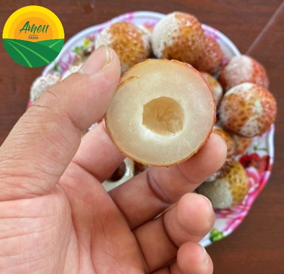 Vải cấp đông Ameii (3)