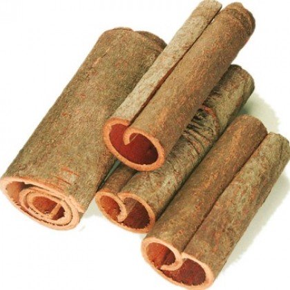 Quế ống — Ameii
